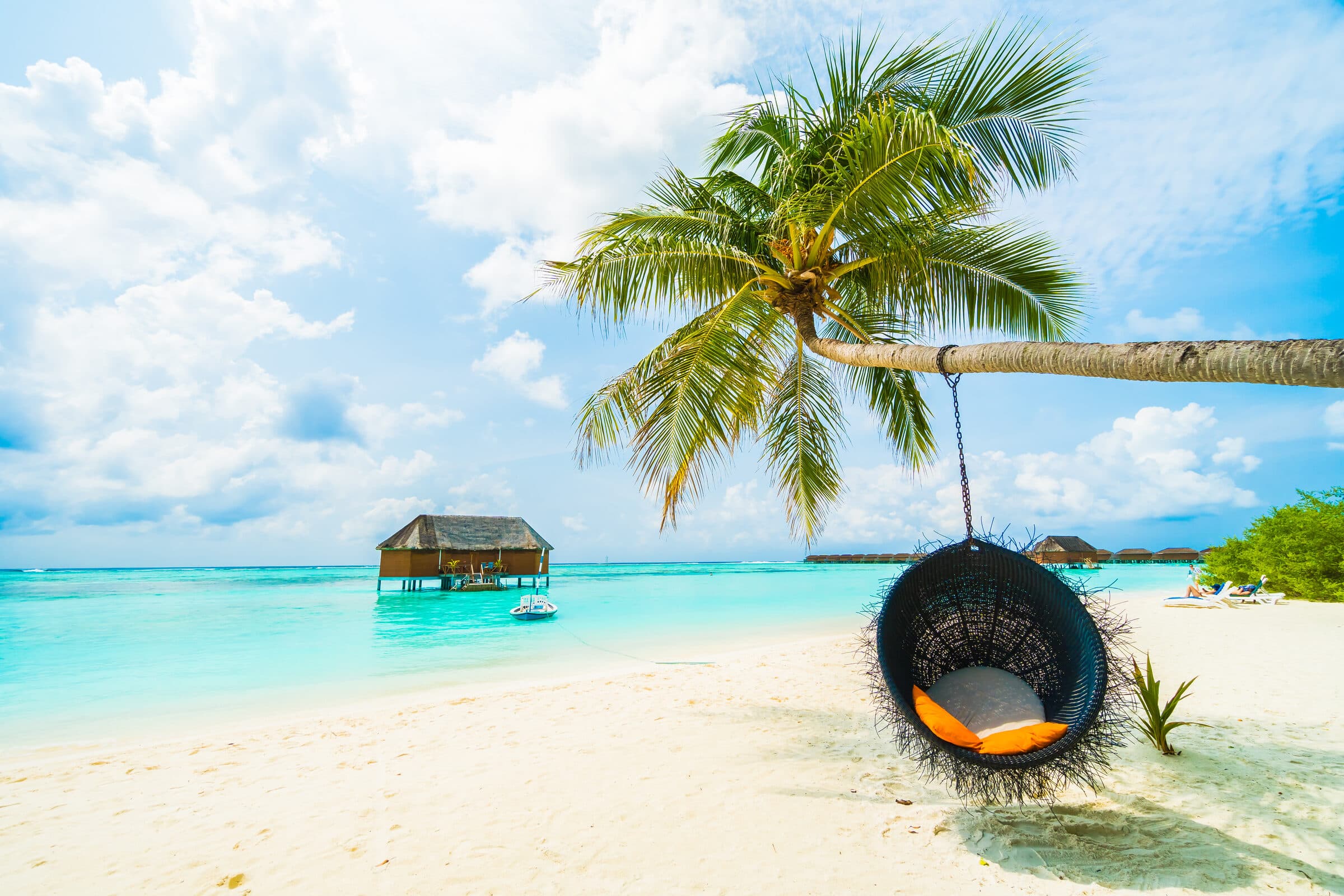 Exotic Zanzibar & Safari